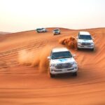 Best Morning Desert Safari in Abu Dhabi – Dune Bashing & More!