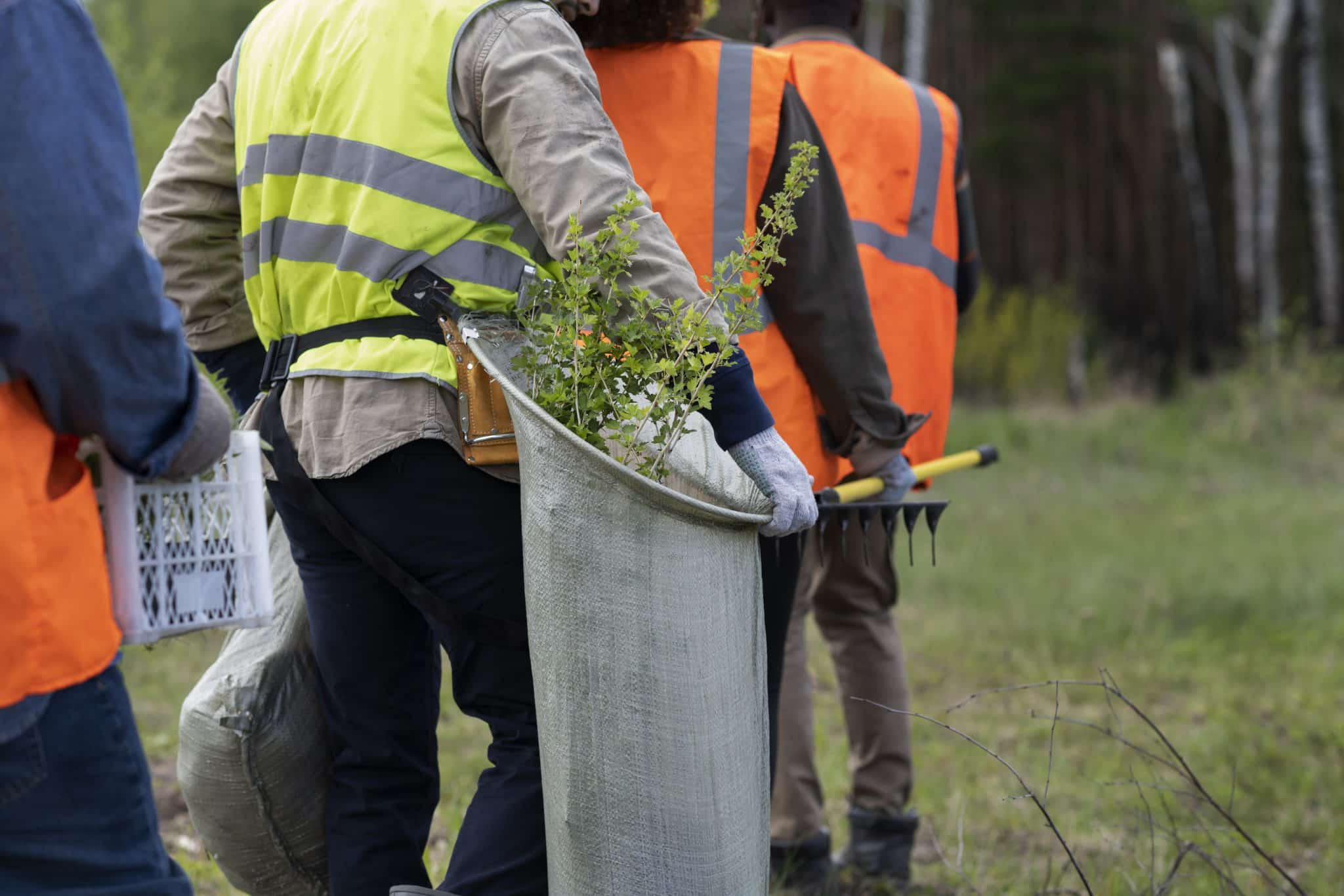 Affordable Tree Service Houston