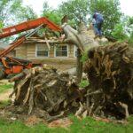 Affordable Tree Service