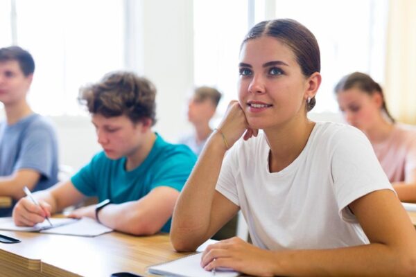 Essay Writing Services