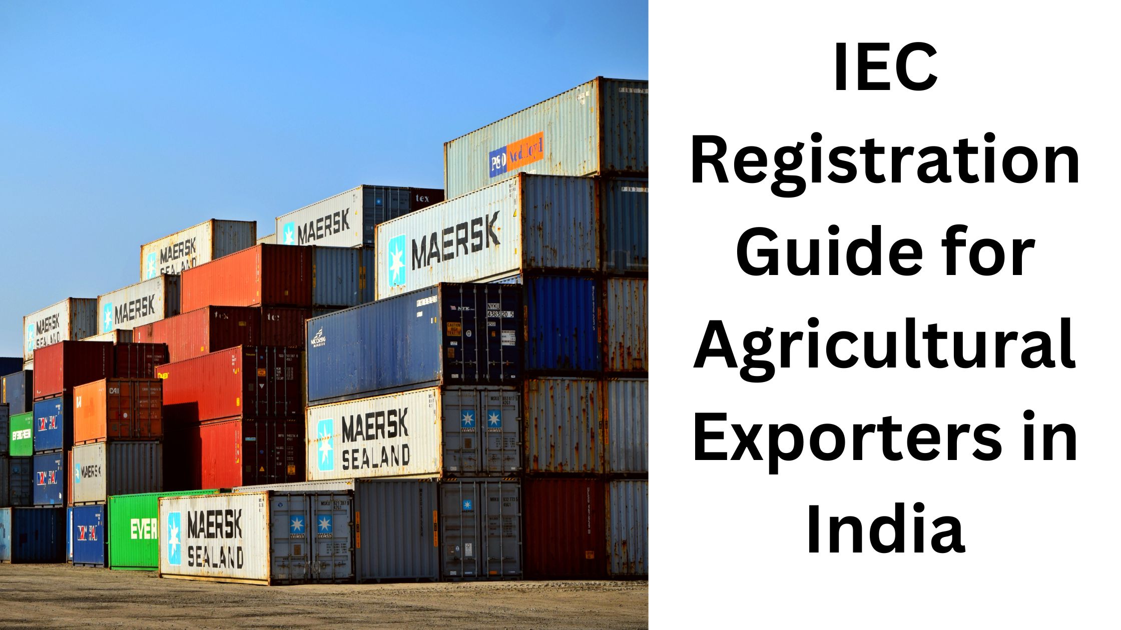 IEC Registration Guide for Agricultural Exporters in India