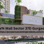 MVN Mall Gurgaon