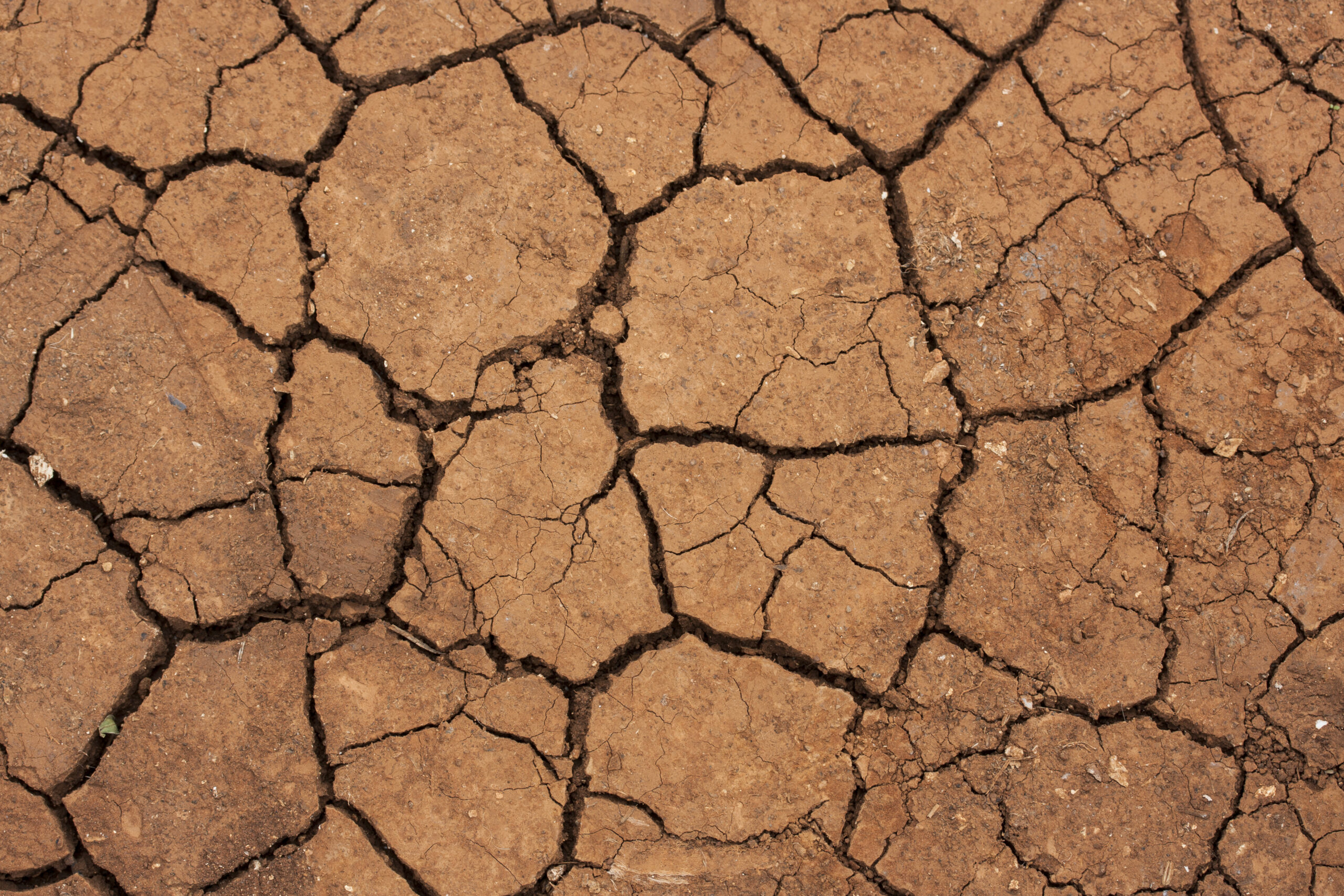 dry dessert floor