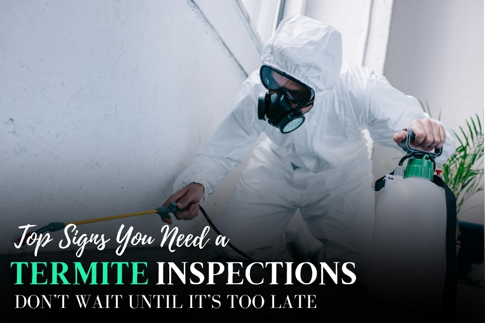 Termite Inspection