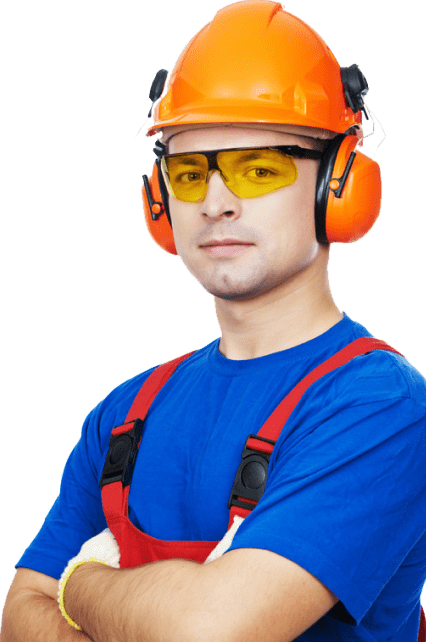 Tree Surgeon Ipswich