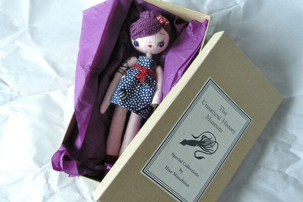 Custom Barbie Doll Boxes