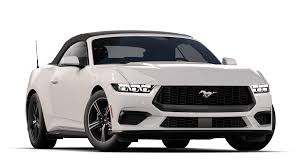 ford mustang car rental dubai