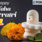 Celebrate Maha Shivratri with Pokhara Host: The Ultimate Guide to .Com Domain Use and domain name registration nepal