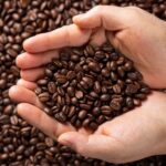 organic coffee beans