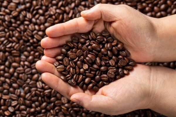 organic coffee beans