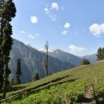 Srinagar tour guide