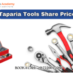 taparia tools share price