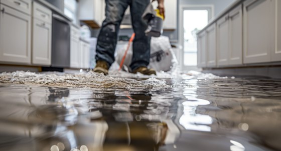 Water Damage Mitigation