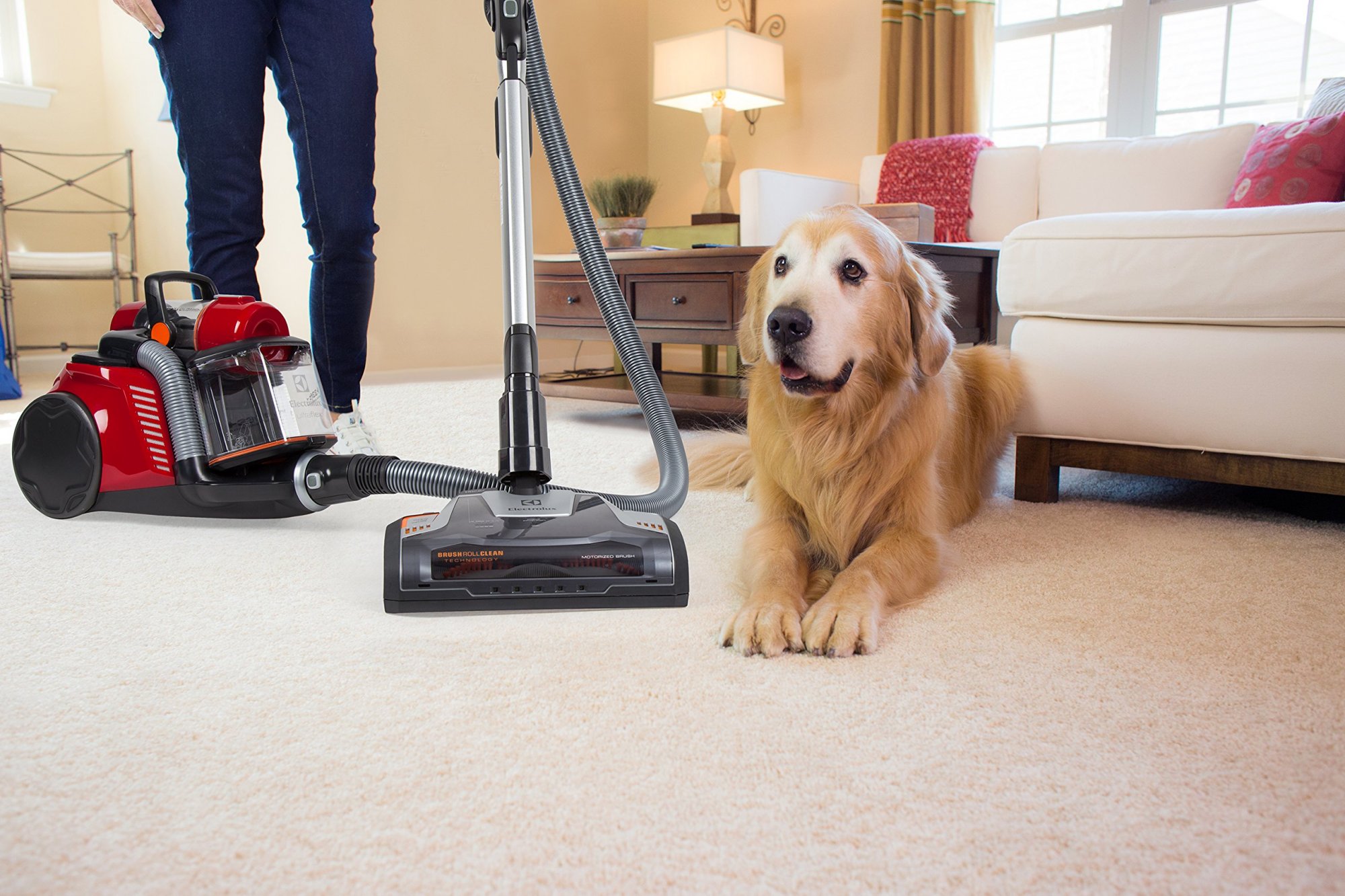 Carpet Sofa Cleaning Services: Why Deep Cleaning is a Must for Pet Owners