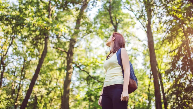 Forest Bathing