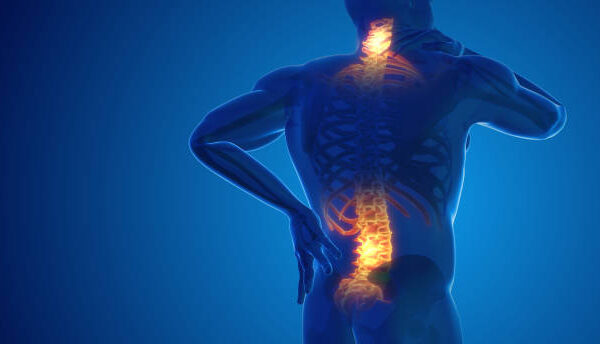 Back Pain Management Guide