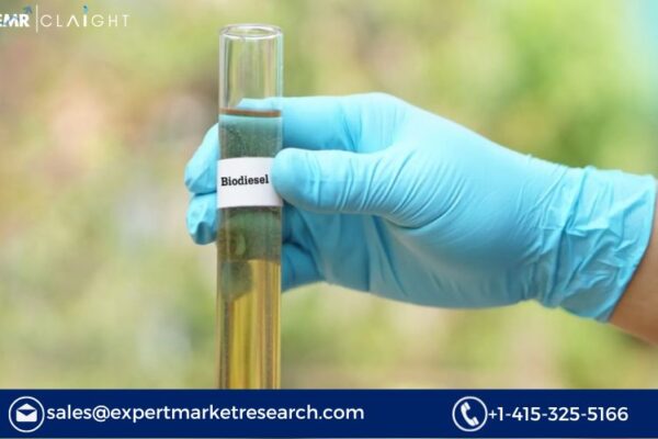 Biodiesel Market Outlook