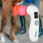 laser light therapy for horses