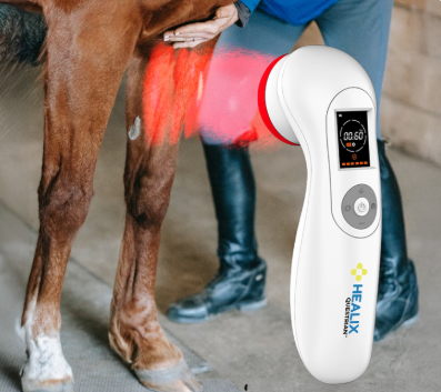 laser light therapy for horses