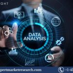 Data Analytics Market