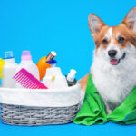 pet grooming supplies