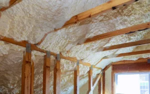 Insulation Services in Clearwater