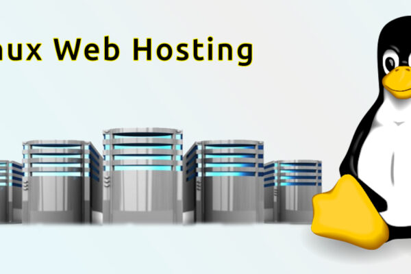 Linux VPS Hosting