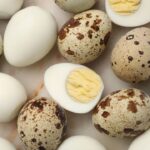 How many calories and protein are in an egg?