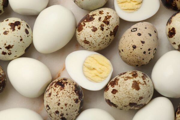 How many calories and protein are in an egg?