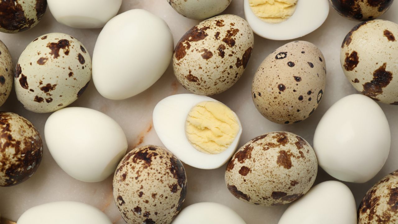 How many calories and protein are in an egg?