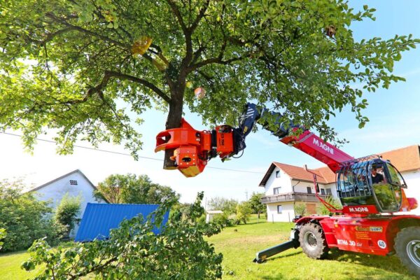 emergency tree removal services​