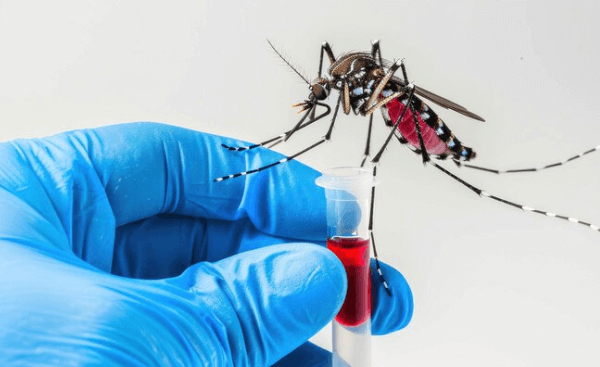 dengue test in Delhi