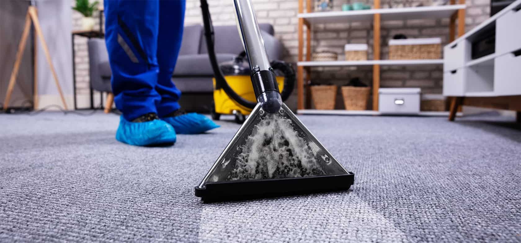 carpet cleaning