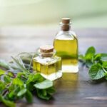 Peppermint Oil Suppliers