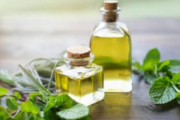 Peppermint Oil Suppliers